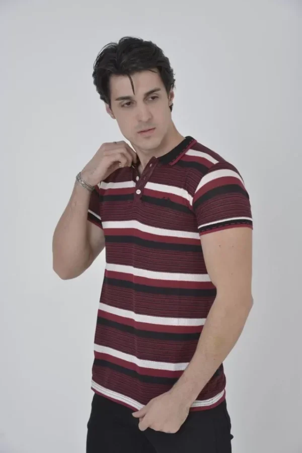 290720266a69a2503ab76.webp Erkek Yakalı Slim Fit Dokuma Çizgili T-Shirt - Bordo