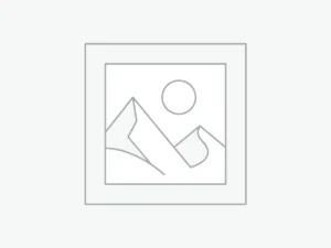 woocommerce-placeholder Kadın Kısa Kollu Kalp Yaka çiçek Desenli Krep Elbise